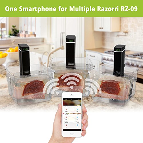Razorri RZ-09 Sous Vide Stick - 2