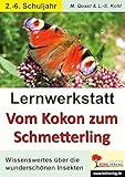 Lernwerkstatt Vom Kokon zum Schmetterling by