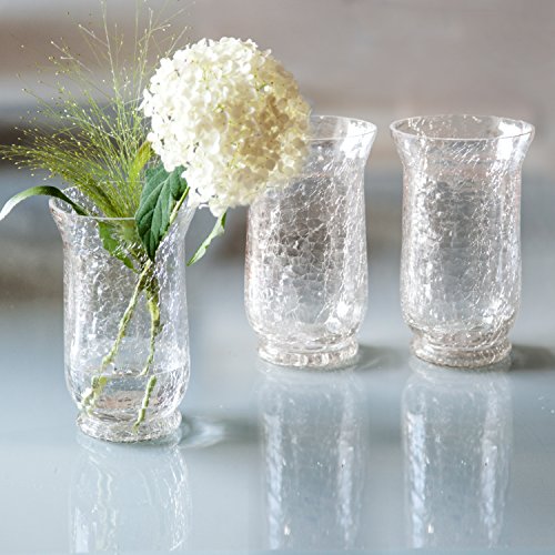 3er Set Crackle Vasen, 18 cm Höhe, Bruchglas, Glasbruch Optik, Mosaik, Blumenvase, Vase