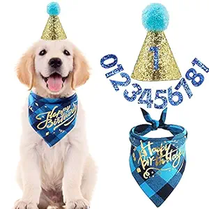 Dog Birthday Bandana Scarfs with Cute Doggie Dog Birthday Party Birthday Hat