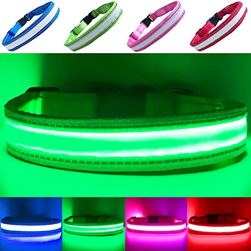 PetSol USB Rechargeable LED Dog Safety Collar - Superbright LEDs - Increased Safety & Extreme Visibility - 4 Colours 5 Sizes (X-Small (20cm - 30cm / 7.87" - 11.8"), Green)