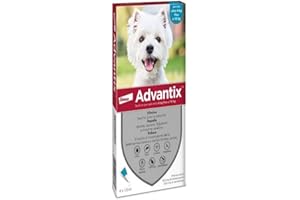 BAYER ADVANTIX SPOT ON*4PIP 1ML 4-10