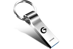 USB Stick 256GB - alptte USB 3.0 Flash Drive High Speed Speicherstick Wasserdichter USB-Flash-Laufwerk für Tablet/Laptop Datenspeicher, mit Schlüsselanhänger