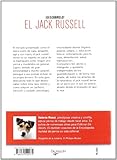 Image de El jack russell, descubrelo! (Animales)