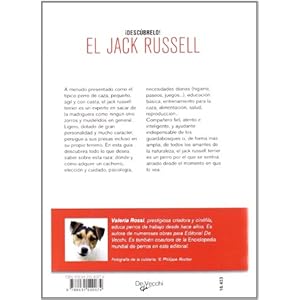 El jack russell, descubrelo! (Animales)