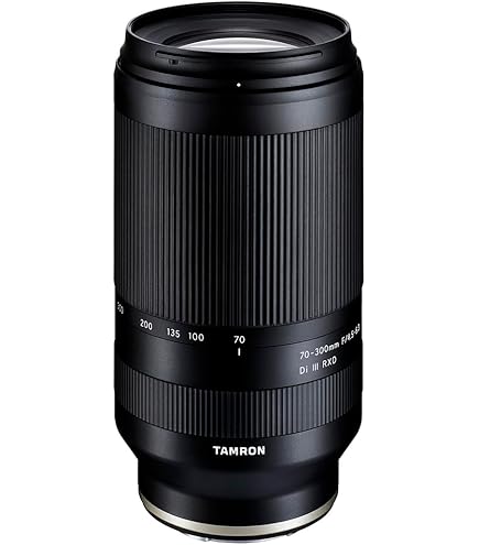 Tamron 28-75mm f/2.8 DI III RXD Lens for Sony E A036SF : Buy