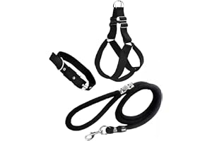 Agirav No Pull Dog Harness - Step in Dog Harness and Leash for Small Medium Large Dog - Escape Proof Adjustable Soft Leash Collar Set for Walking Training Hiking Outdoor, 15 Cm, 15 Cm