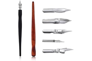 BEPSYOM Juego de Bolígrafos de Caligrafía, Dibujo Manga Pen, con 2 portaplumas y 5 plumillas Dibujo, Set caligrafia y Juego de Dibujar, para Principiantes de Cómics