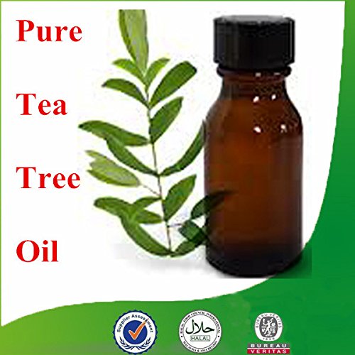 Tarn & Daisy Teebaumöl, 100 % reines ätherisches Öl 30 ml, antiseptisch, antimykotisch, entzündungshemmend, antibakteriell, hautsympathisch - 6