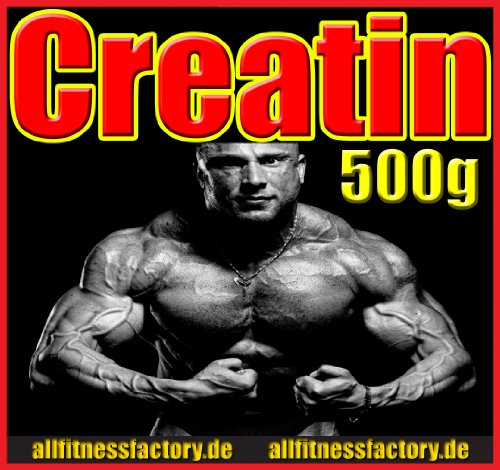 Preisvergleich Produktbild activevites 500g reines Creatin Monohydrat Qualitäts Kreatin Pulver