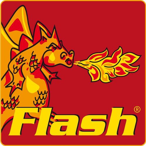 FLASH 100er Ölofenanzünder 10er Set - 2