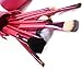 Lychee Women 12pcs Soft Professional Makeup Brushes Cosmetic Make Up Brush Set Kit Foundation with Cup Holder Case (12Pcs Red)