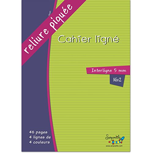 Petit cahier avec lignes en couleur - interligne 5mm - reliure piquée