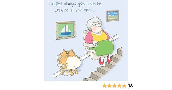 Twizler Carte Humoristique Avec Fat Cat Vieille Dame Et D Escalier Lift Carte Vierge Carte D Anniversaire Humour Card Carte De Retraite Carte De Fete Des Meres Carte