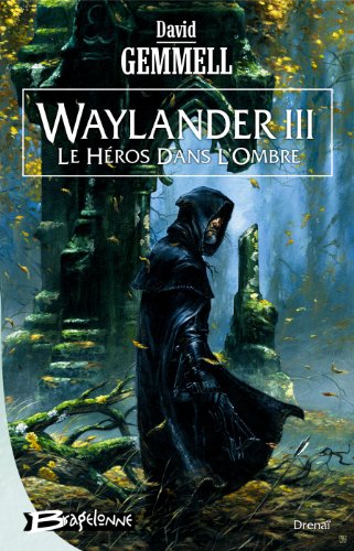 couverture de : Le h&eacute;ros dans l'ombre