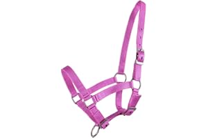 QHP Nylonhalfter Fohlen-Halfter 3fach verstellbar stark