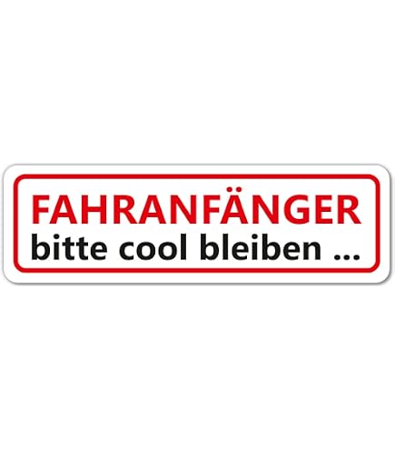 Begleitetes Fahren Ab 17 Fev § 21 Anlage 2 Angaben - ELDJ