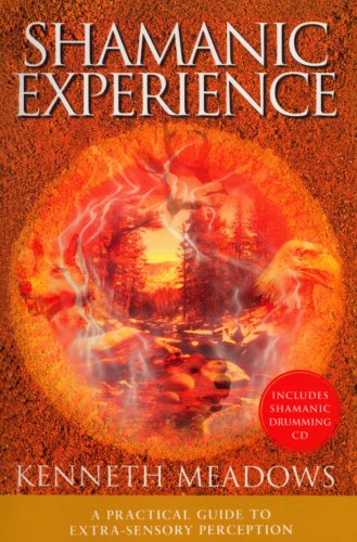 Preisvergleich Produktbild Shamanic Experience: A Practical Guide to Contemporary Shamanism