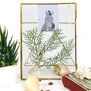 Elan Glass Wall And Table Photo Frame (6 x 8 inch, Gold)