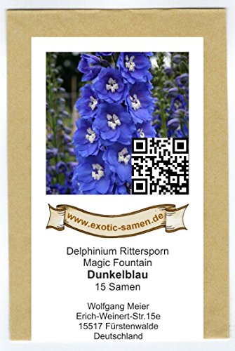 Delphinium – Rittersporn-dunkelblau – Magic Fountain – kleine Sorte – 15 Samen - 2