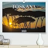  TOSKANA im magischen Licht(Premium, hochwertiger DIN A2 Wandkalender 2020, Kunstdruck in Hochglanz): Italiens lichtvolle Region fasziniert! (Monatskalender, 14 Seiten ) (CALVENDO Orte)