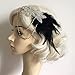 FENICAL Retro Feather Headpiece Flapper Chain Flower Hairband Great Gatsby Headband 1920s for Fancy Dress Party Dress-up Accessories