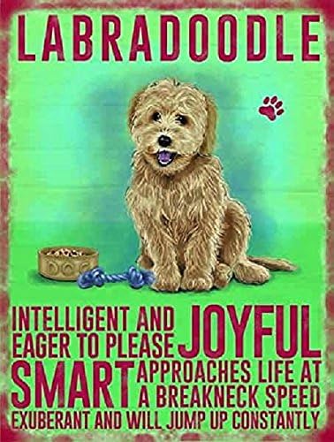 Labradoodle Dog Small hanging metal sign wall decor plaque - JOYFUL, SMART, will jump up constantly ........