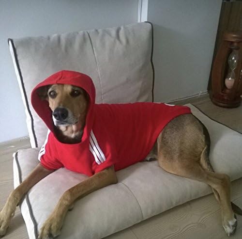 RED SWEATSHIRT FOR MEDIUM &amp; BIG DOGS - ADIDOG by Kemique - PET CLOTHES DOG CLOTHES (9XL)