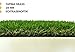 Produktbild Tapima Grass 28 mm | Kunstrasen | Rasenteppich | 200 x 300 cm - hochwertige Echtrasenoptik | UV-beständig