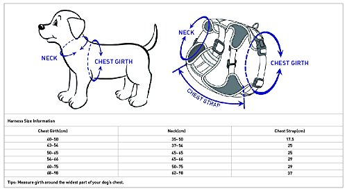 Blueberry-Pet-Soft-Comfortable-3M-Reflective-Multi-colored-Stripe-No-pull-Mesh-Padded-Dog-Harness-Vest-4-Colors-Matching-Collar-Lead-Available-Separately