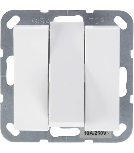Gira 018200 Taster BA 2-Fach 1 Punkt KNX EIB Einsatz : Amazon.de: Gewerbe,  Industrie & Wissenschaft