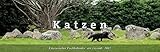 Literarischer Tischkalender Katzen 2017 by 