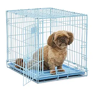 MidWest Single Door Dog iCrate, 24-Inch, Blue