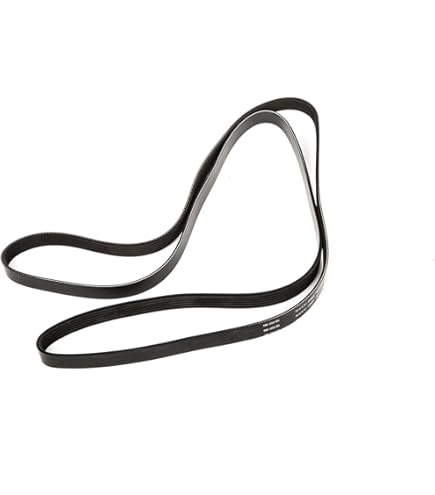 Cinturón Seguridad Trasero Izq Dodge Avenger 2.4 Mod 08-14 | Meses Sin