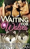 Image de Waiting for Wolves: BBW MMF Werewolf Shapeshifter Menage Romance (Shifter Grove Brides Book 5) (English Edition)
