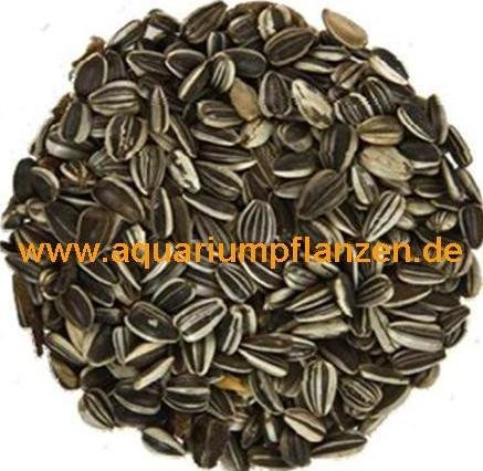 Preisvergleich Produktbild 15 kg gestreifte Sonnenblumenkerne, Vogelfutter