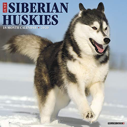 Télécharger Just Siberian Huskies 2020 Calendar Livre eBook France