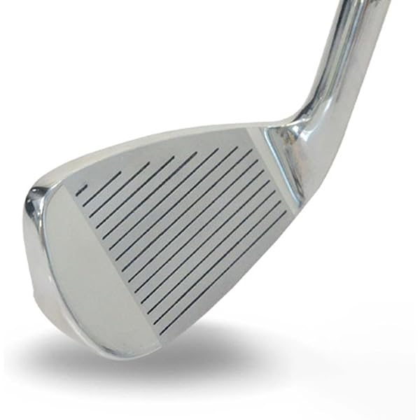 Buy Japan Pron Wedge Single Golf Club,TRG 22 Model,Chrome Finish