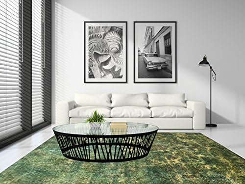 Miss CucciVintage Overdyed Iranian Carpets 353_x_240