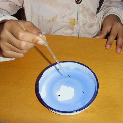 SODIAL Verlaufsfilter Pipetten Pipette Polyethylen, 100 Stück, Nr. 21 - 5