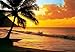 Produktbild Fototapete "Pacific Sunset", Motivtapete, Bildtapete, Sonnenuntergang am Strand mit Palmen, Palme, Karibik, Südsee, Palmenstrand - Wall Mural 8-teilig - 366x254cm, gestochen scharfe XXL-Ansicht verfügbar