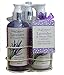 Body Collection Lavender & Sweet Pea Scented Trio Parfume Gift Set