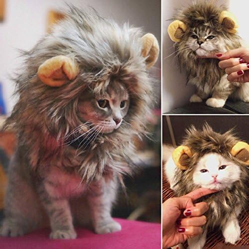 Kingdommax Pet Wig Christmas pet cat wig