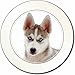 Produktbild Siberian Husky AutovignetteGenehmigungsinhaber Geschenk