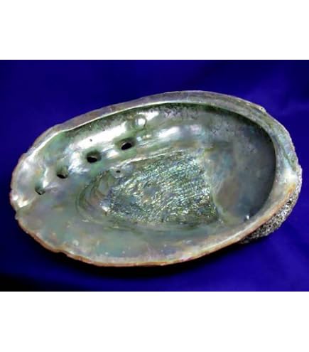 Amosfun Supporto In Legno Intagliato A Treppiede - Espositore Per Sfere Di Vetro, Conchiglie E Gioielli, 16x16x9 Cm, Marrone Chiaro
