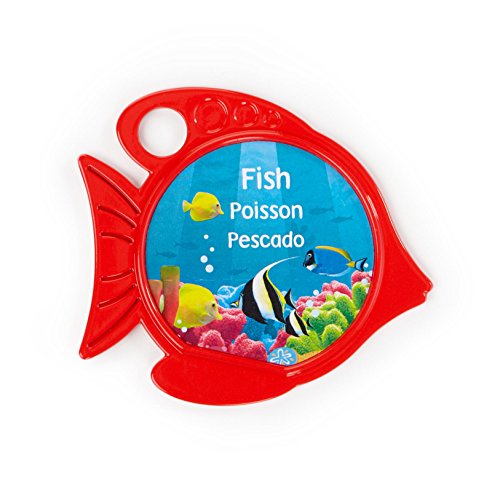 Baby Einstein 90649 Rhythm of the Reef Play Gym Spieldecke - 10