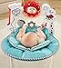 Fisher-Price 2-in-1 Sensory Stages Bouncer