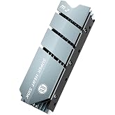 JEYI WARSHIP PRO FLYFISH M.2 NVMe M.2 SATA SSD Termal Ped Soğutuculu Al&uuml;minyum Kasa