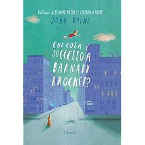 Che cosa è successo a Barnaby Brocket?