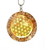 citrino wow Citrino Reiki Energía Carga citrino de la flor de la vida colgante orgón Inc bañado en plata cadena de piel de serpiente (envuelto para regalo)